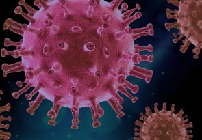 Pandemia koronawirusa a codzienne funkcjonowanie