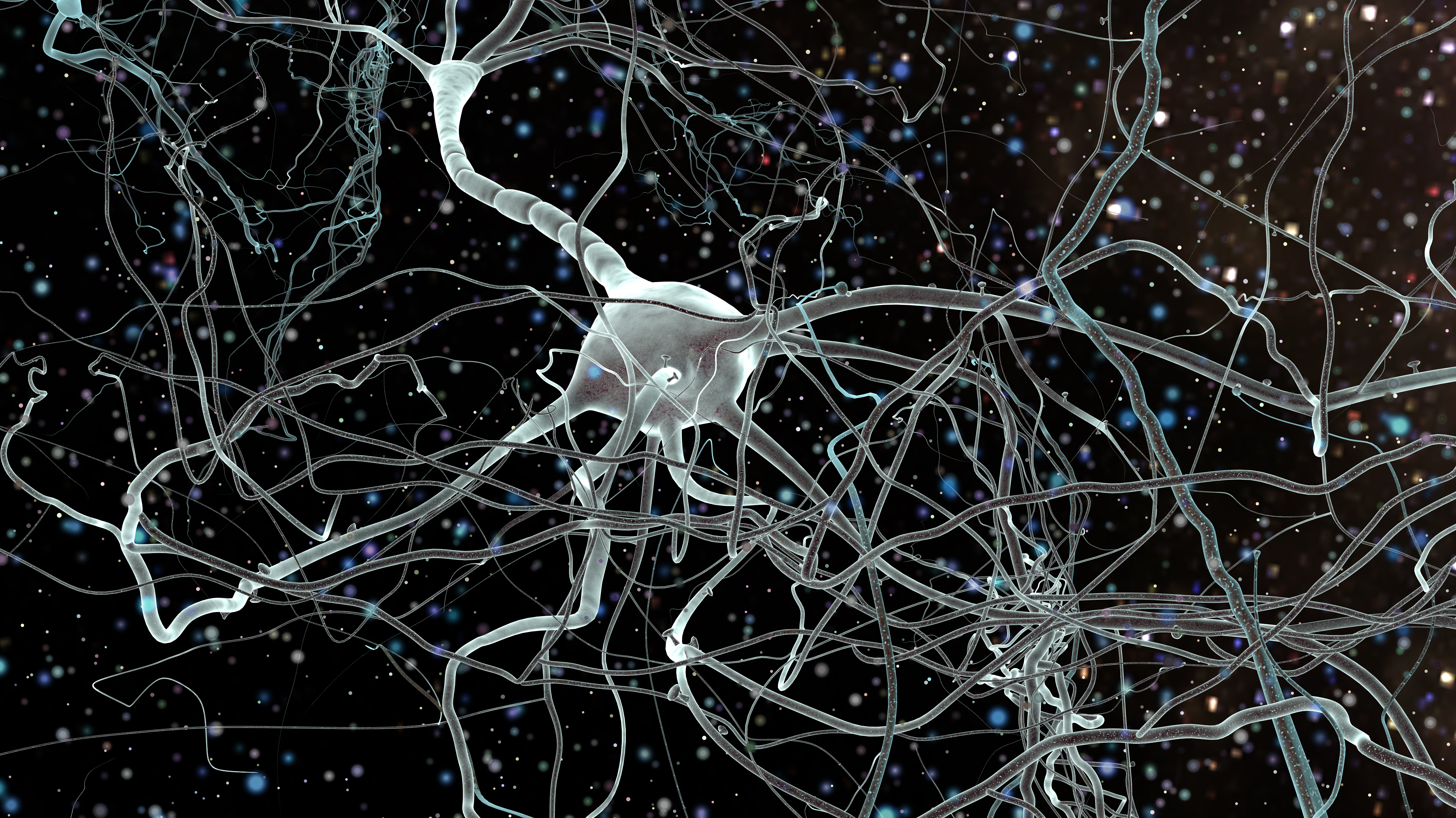 Клетки мозга восстанавливаются. Нейрон в нейронной сети. Нейрон и нейронные сети 50-е года. Нервная система человека Нейрон. Нейронная сеть биология.