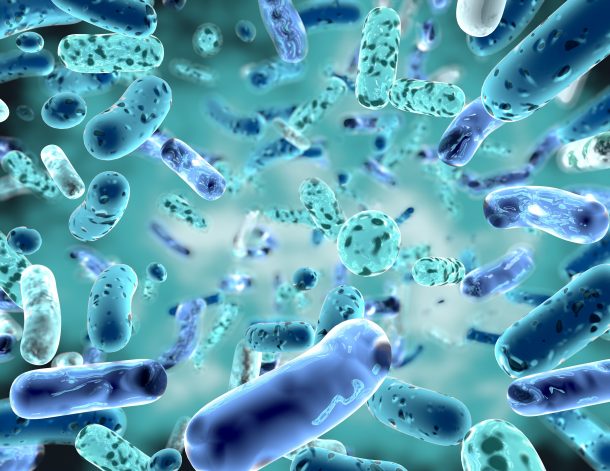 Bakterie probiotyczne zmniejszają immunoreaktywność peptydów glutenu?