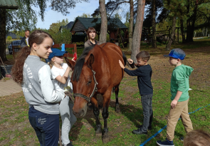 Piknik rodzinny w Puławach na powitanie jesieni za nami